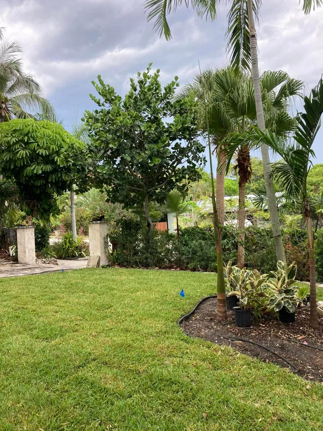 West Palm Beach Residence photo 11