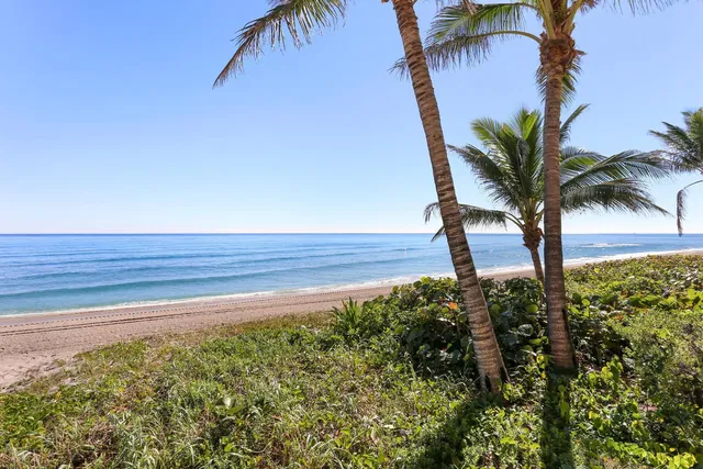 Sea Gate Palm Beach Unit 318 photo 38