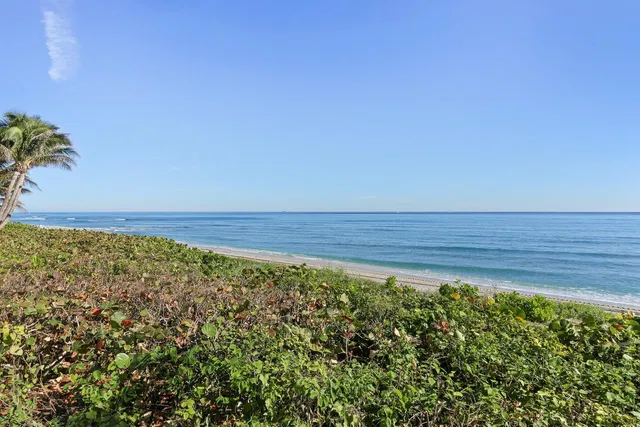 Sea Gate Palm Beach Unit 318 photo 39