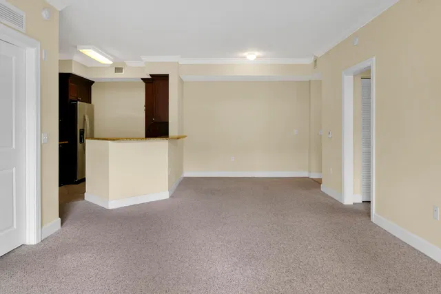 Renaissance Commons II Unit 1103 photo 4