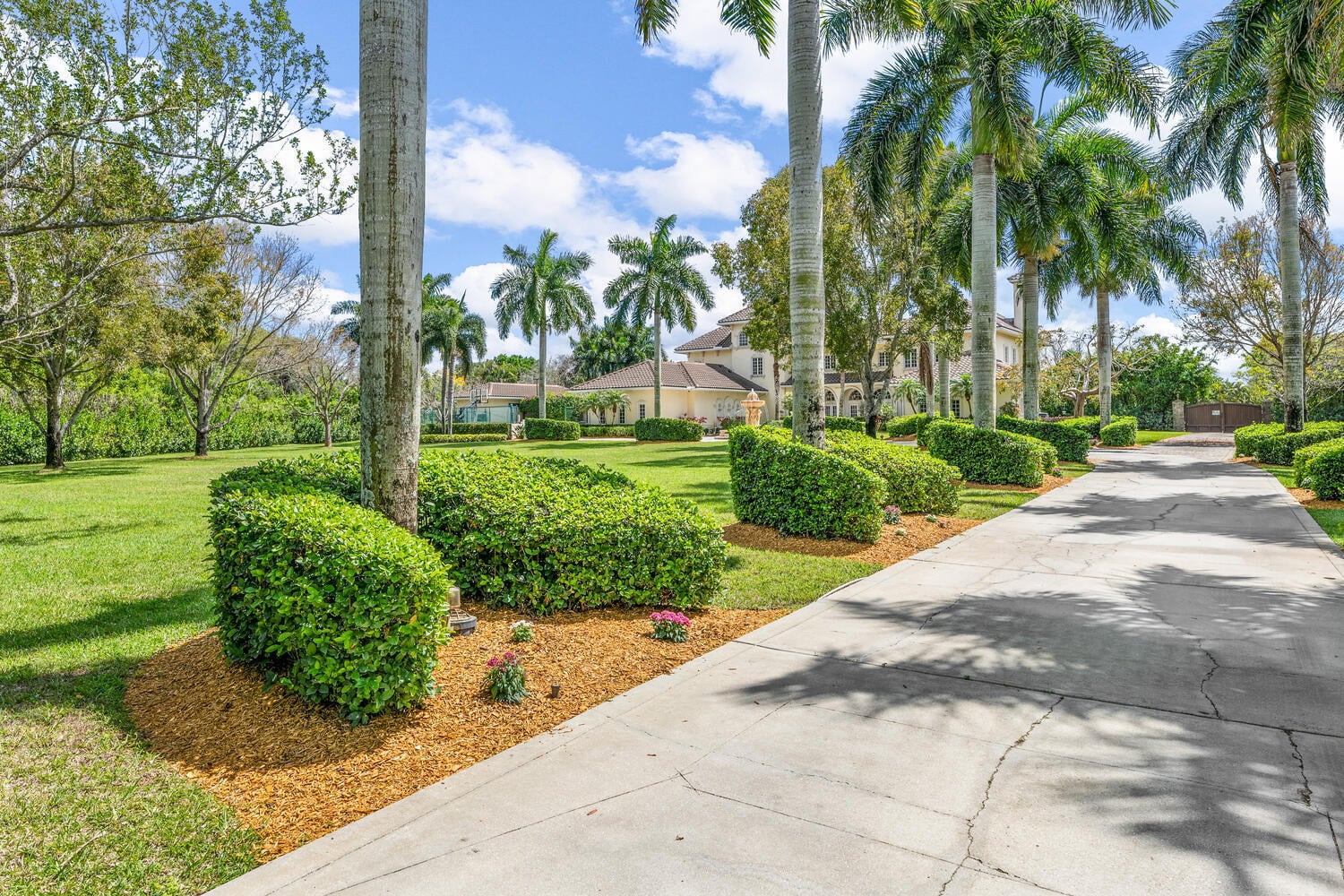 Paddock Park Residence photo 6
