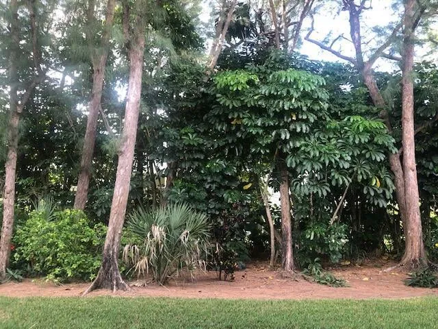 Singer Island Residence photo 16