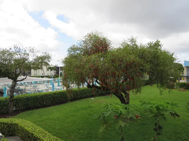 Residence photo 20
