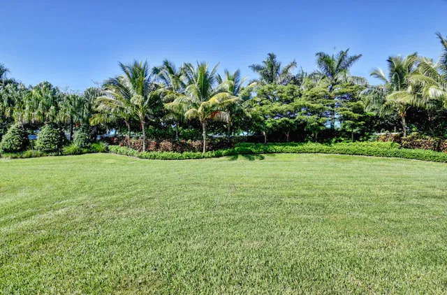 Lotus Palm Boca Raton Residence photo 71