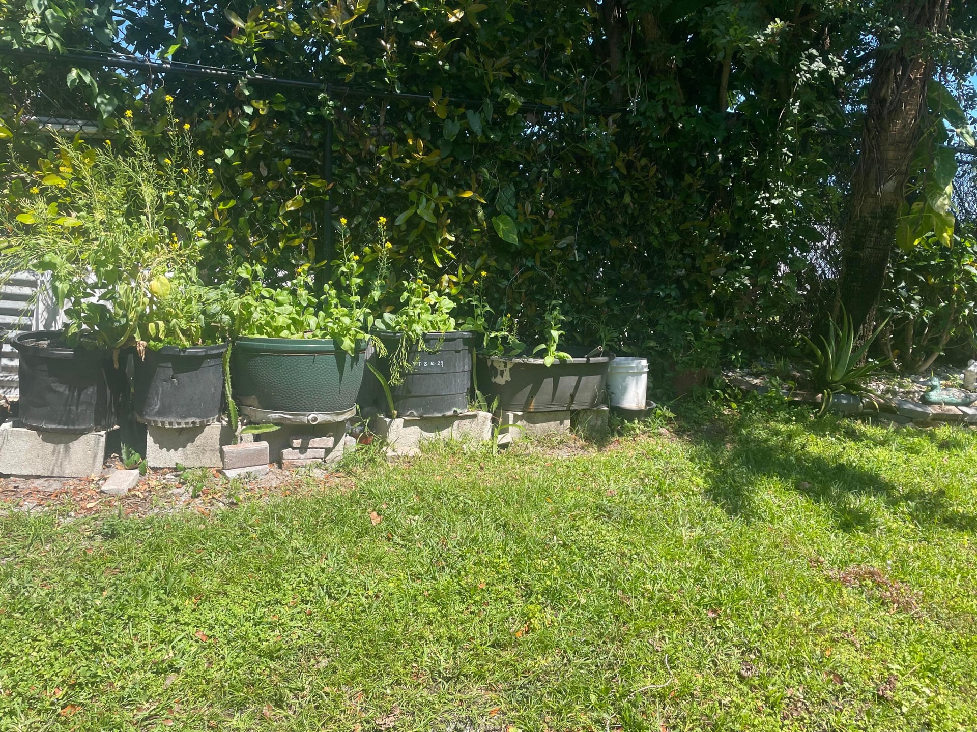 Residence photo 4