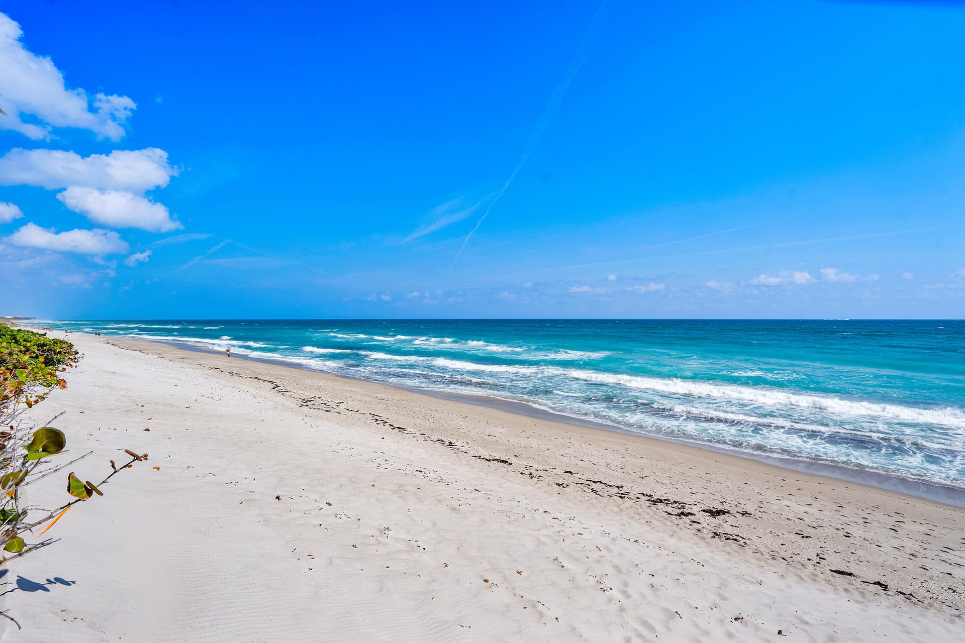 Singer Island Unit 5b photo 62