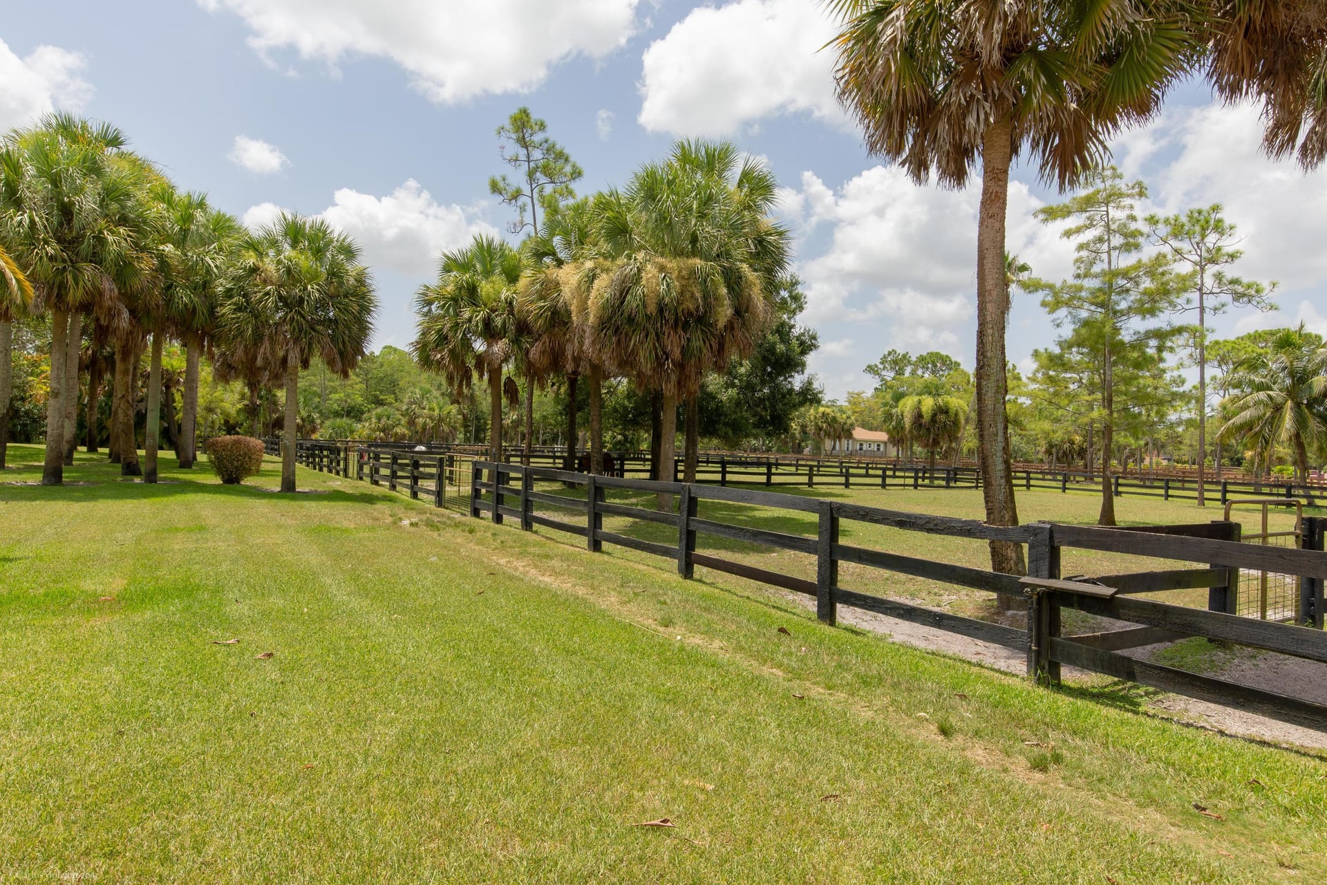 Paddock Park Residence photo 3