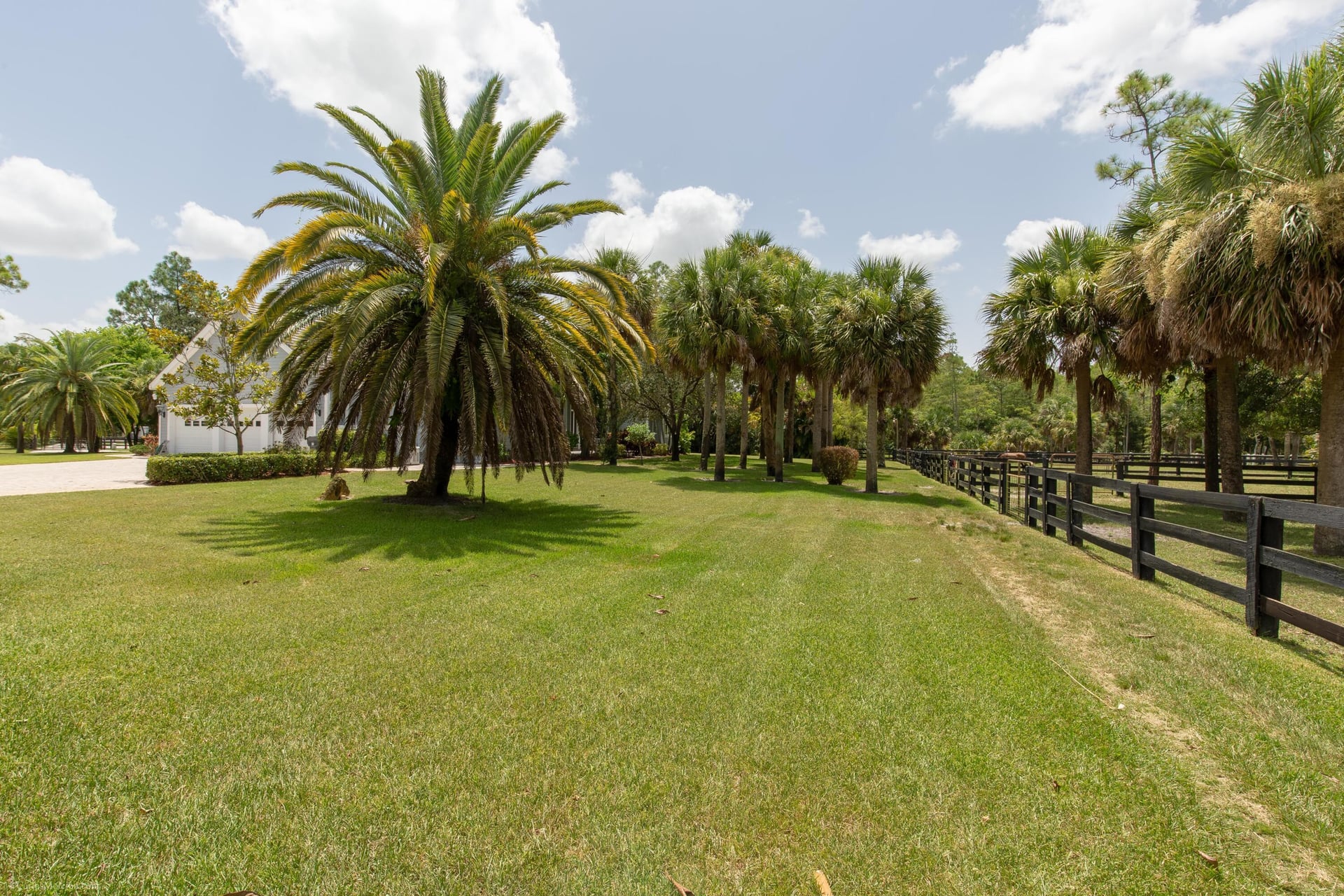 Paddock Park Residence photo 34