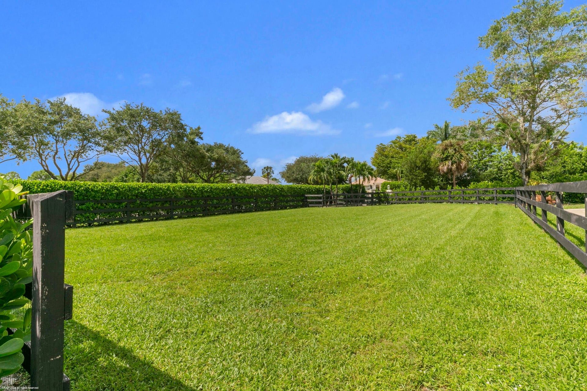 Paddock Park Residence photo 69