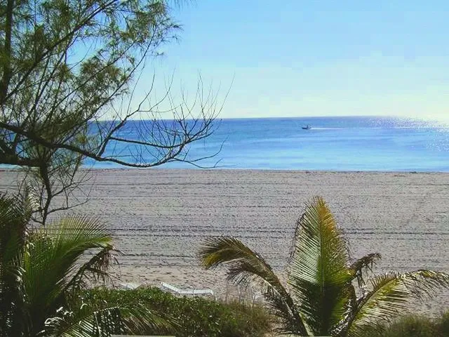 Boca Towers Unit 302e photo 62