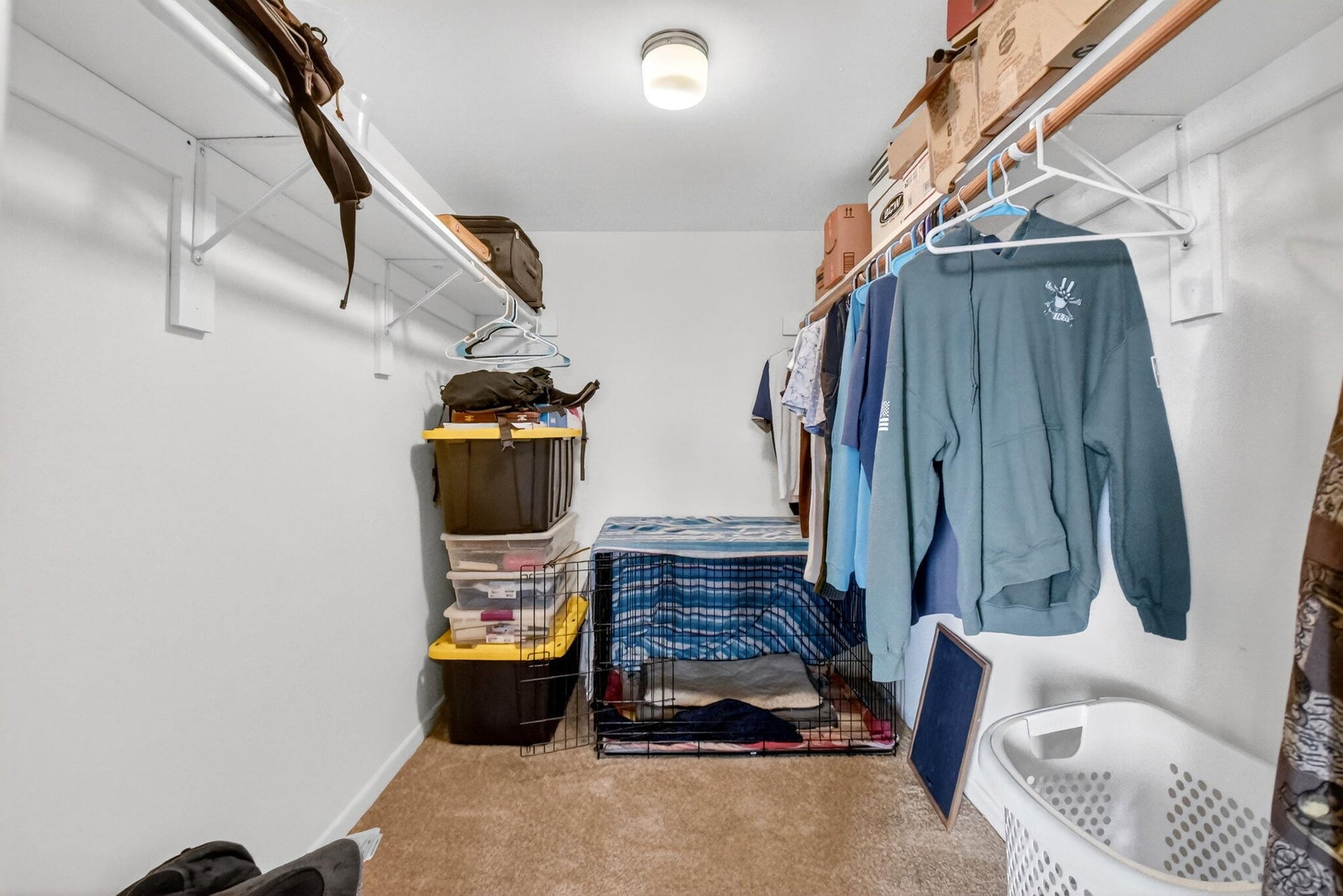 Unit 103 photo 23