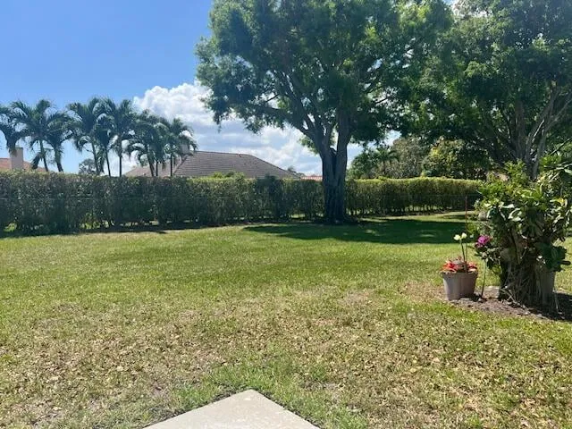 Unit 259 photo 48