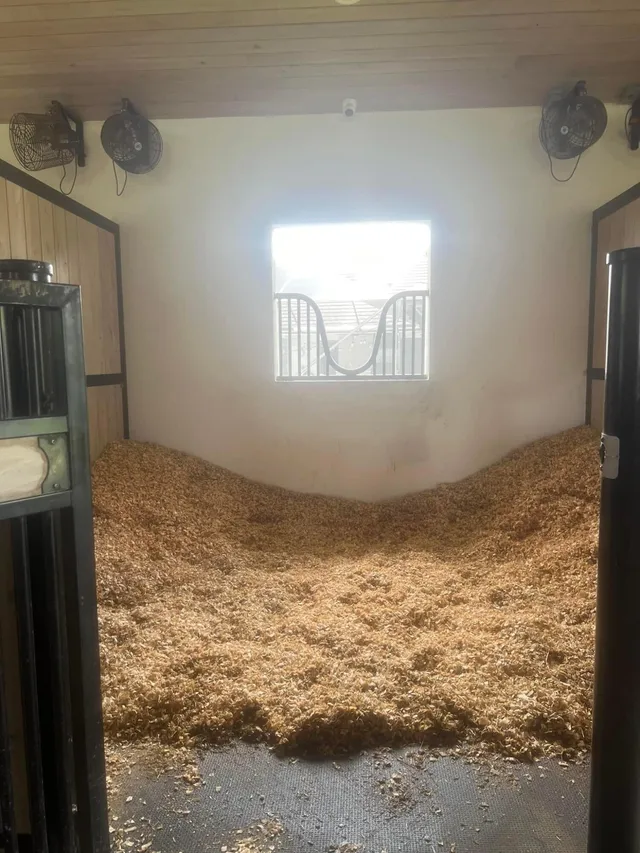 Paddock Park Unit Stalls photo 4