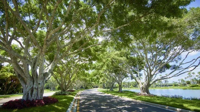 Ibis Golf & Country Club Residence photo 40