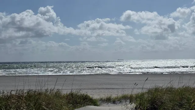 The Estates at Ocean Delray Residence photo 4