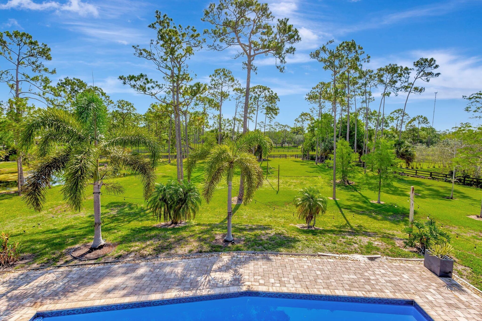 Homeland Residence photo 38