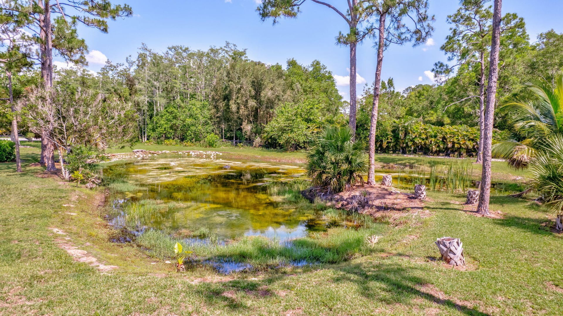 Homeland Residence photo 52