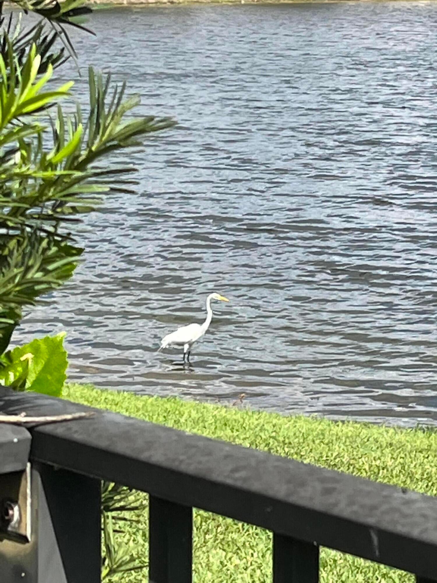 Oaks At Boca Raton Residence photo 8