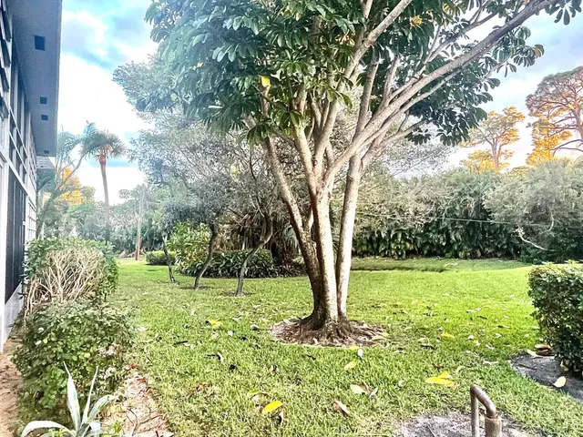 Unit 117 photo 18