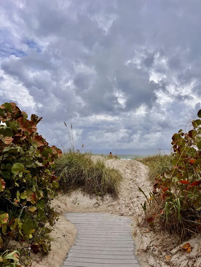 Singer Island Unit 1806 photo 48