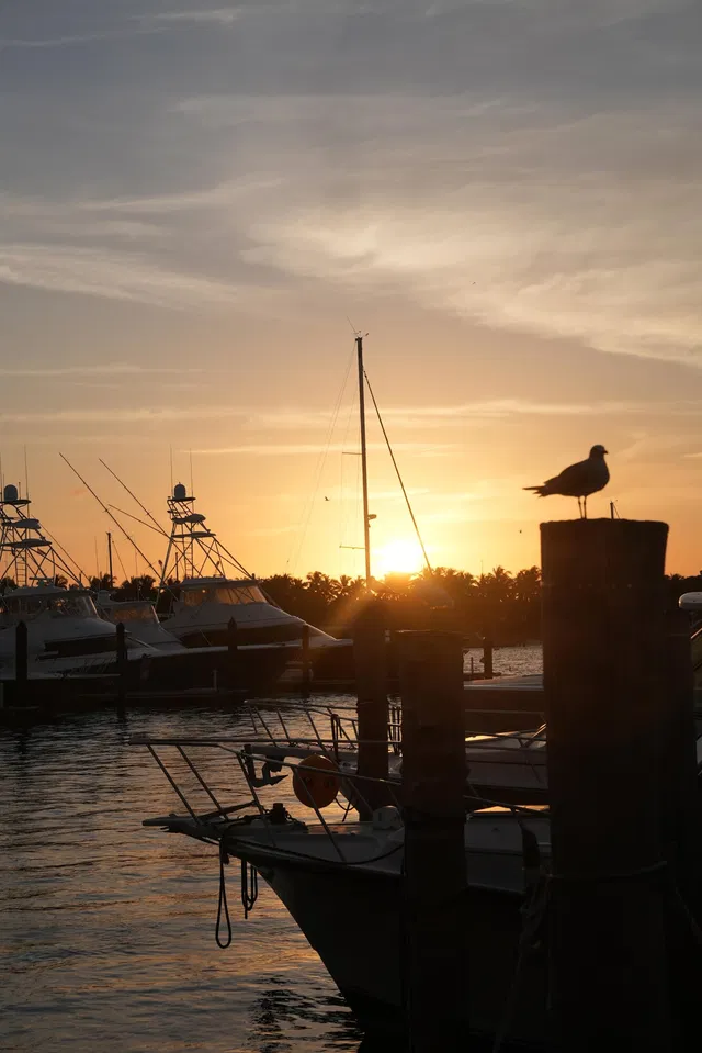 Singer Island Unit 3101 photo 38