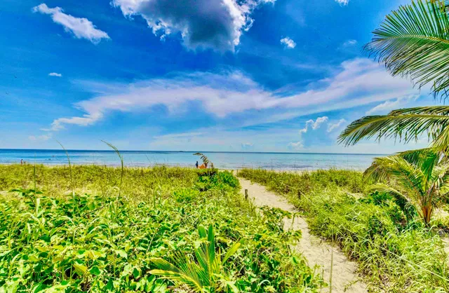 Boca Raton Unit 3f photo 51