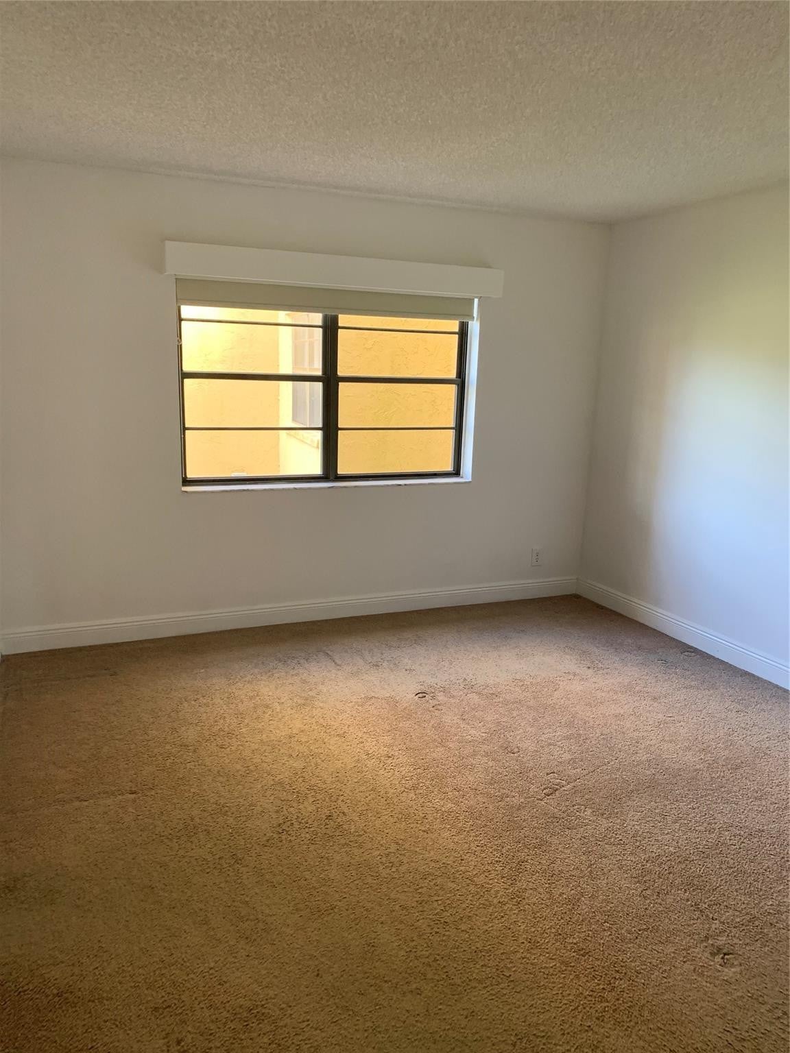  Unit 206 photo 15