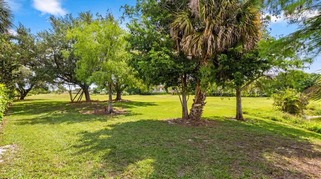 Shady Oaks Residence photo 31
