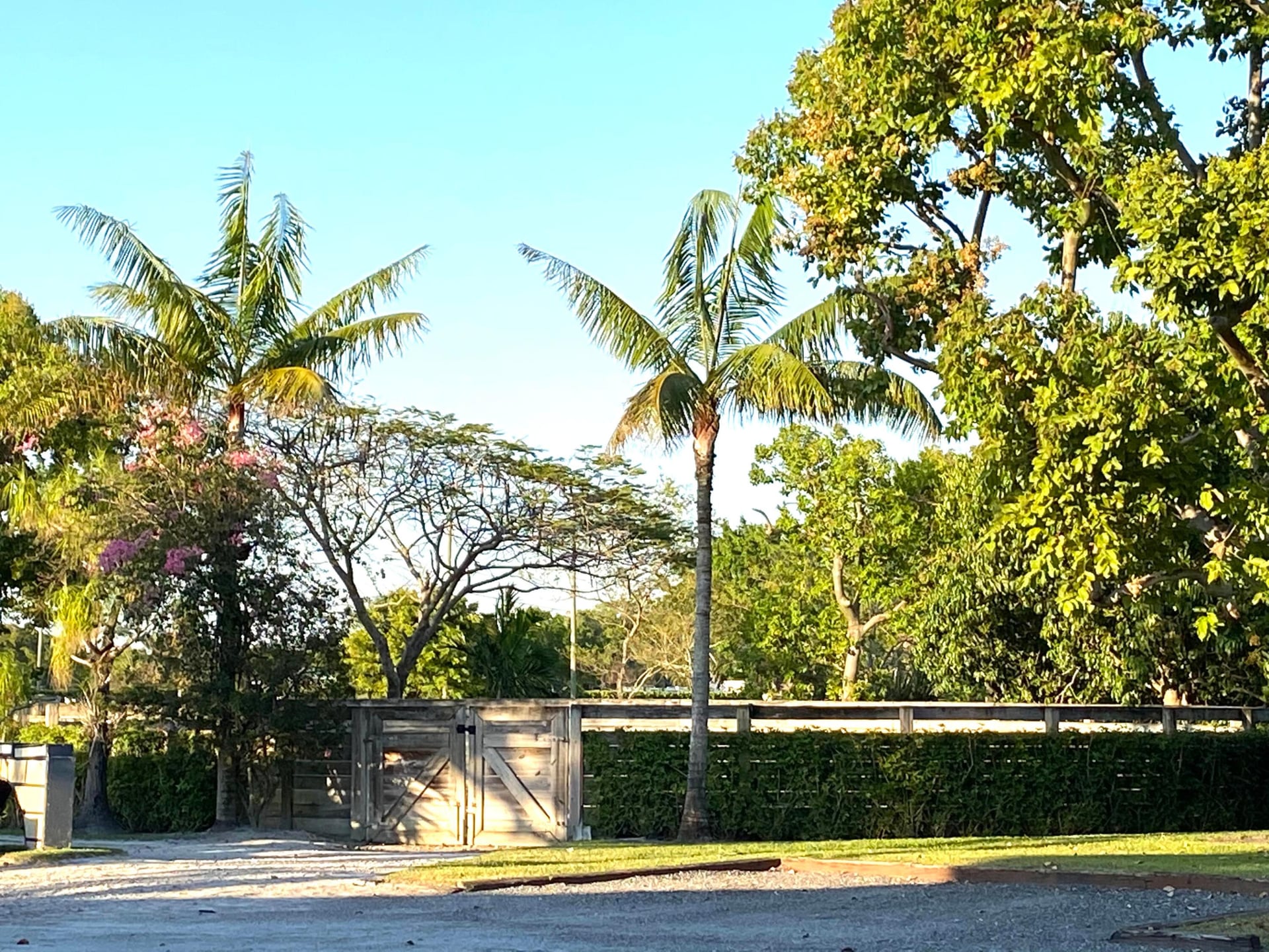 Residence photo 19