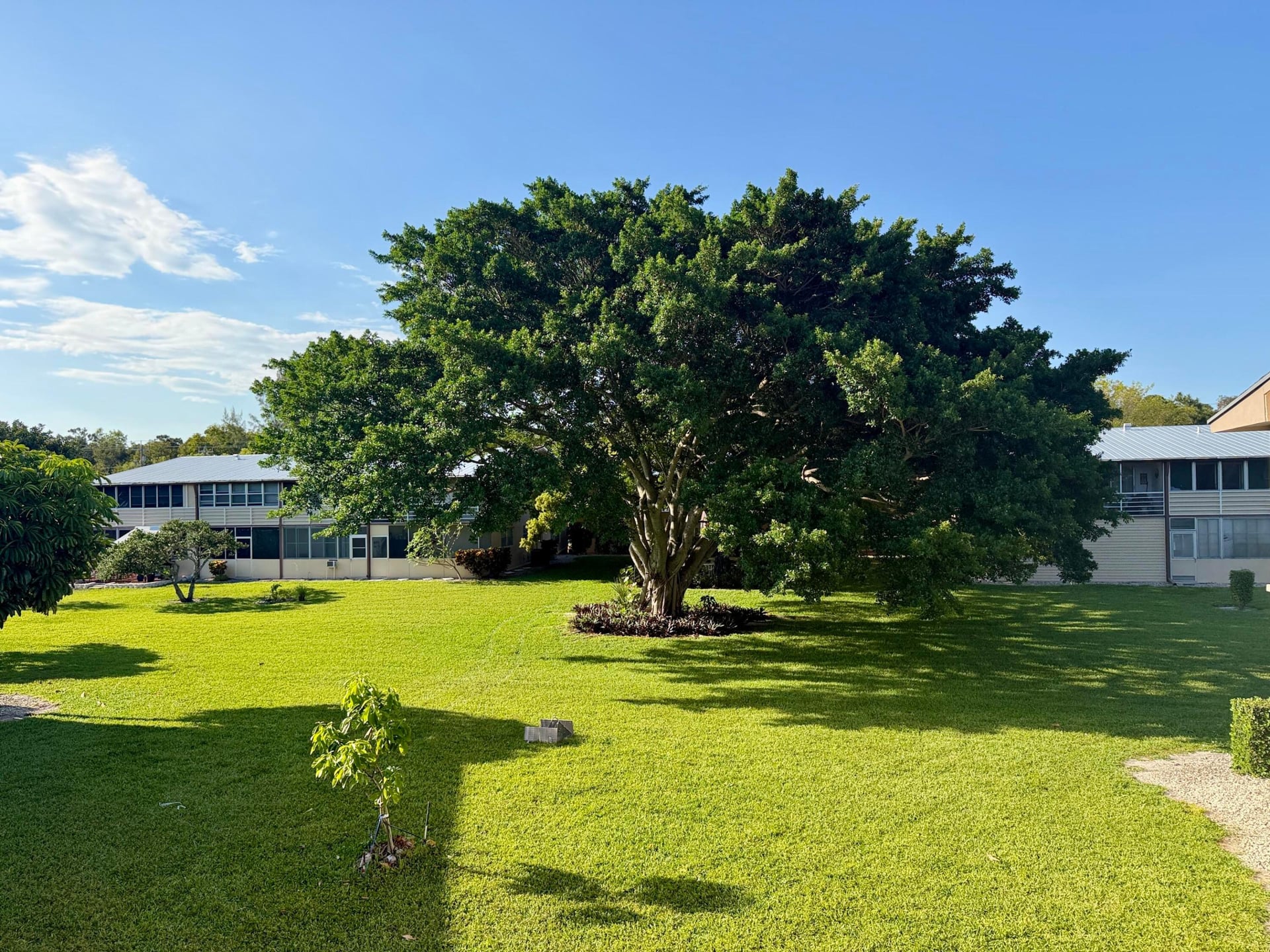 Residence photo 17