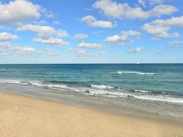 The Patrician of Palm Beach Unit 102 photo 38