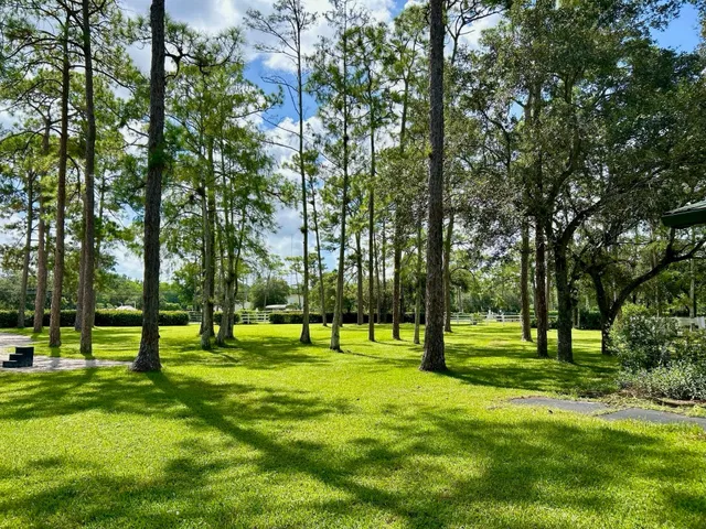 Homeland Residence photo 11
