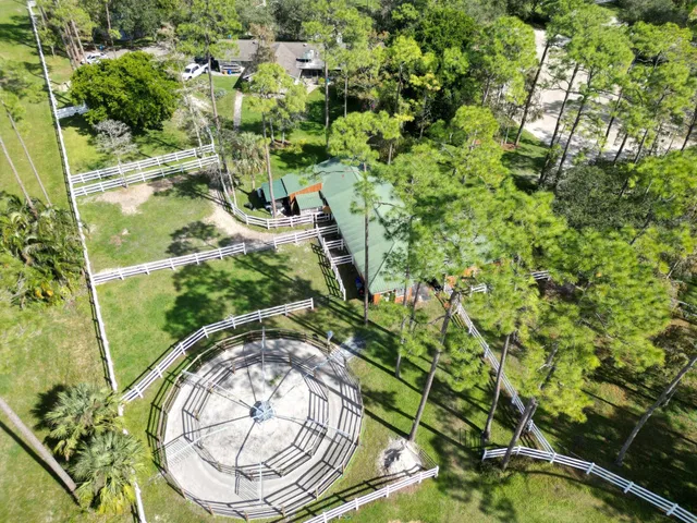 Homeland Residence photo 16