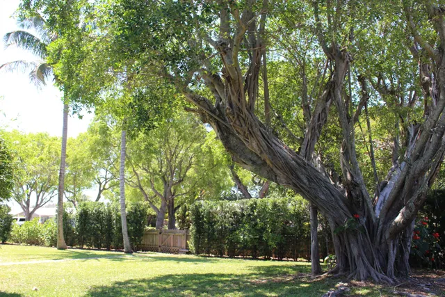 Residence photo 20