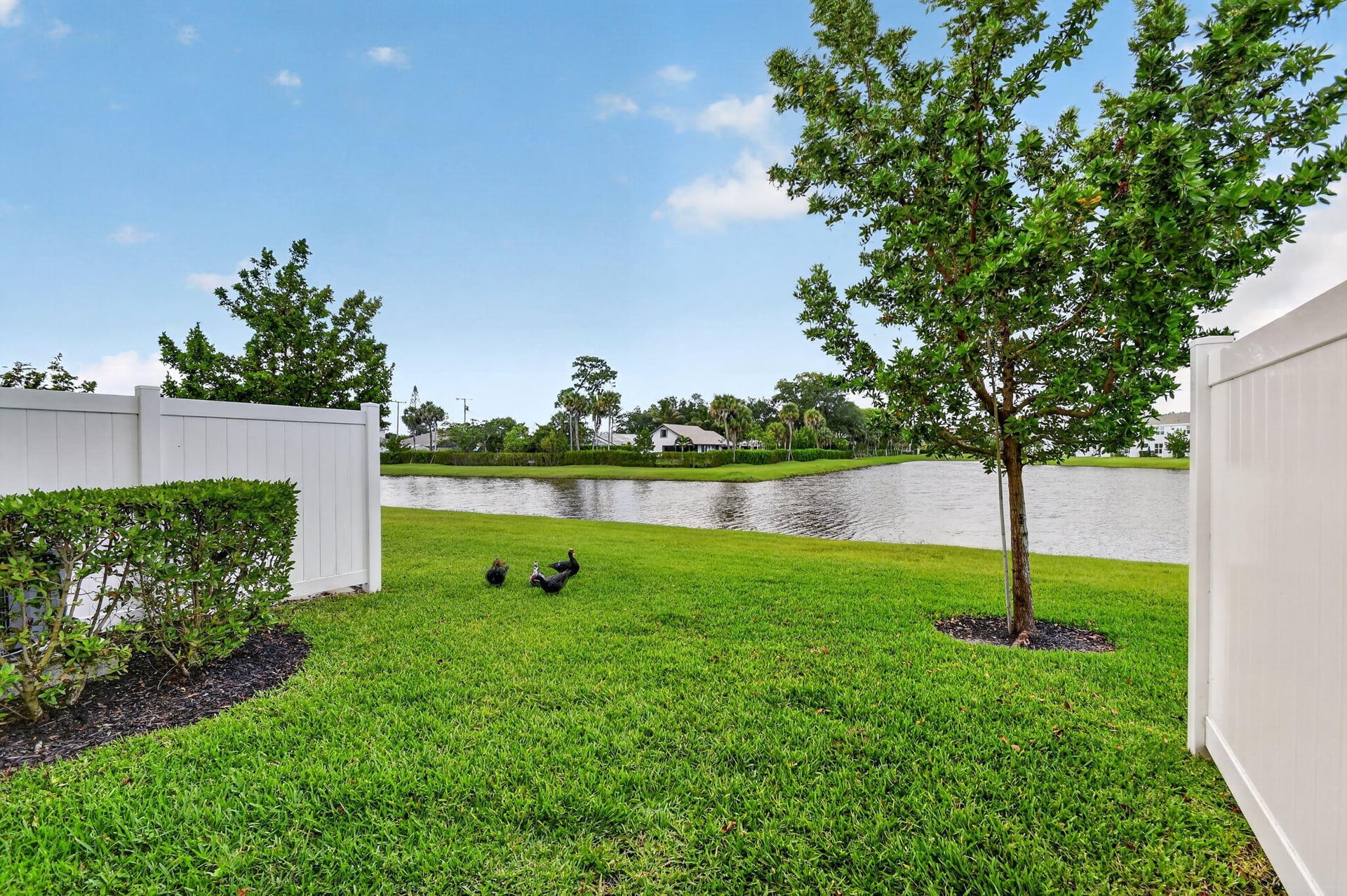 Residence photo 46