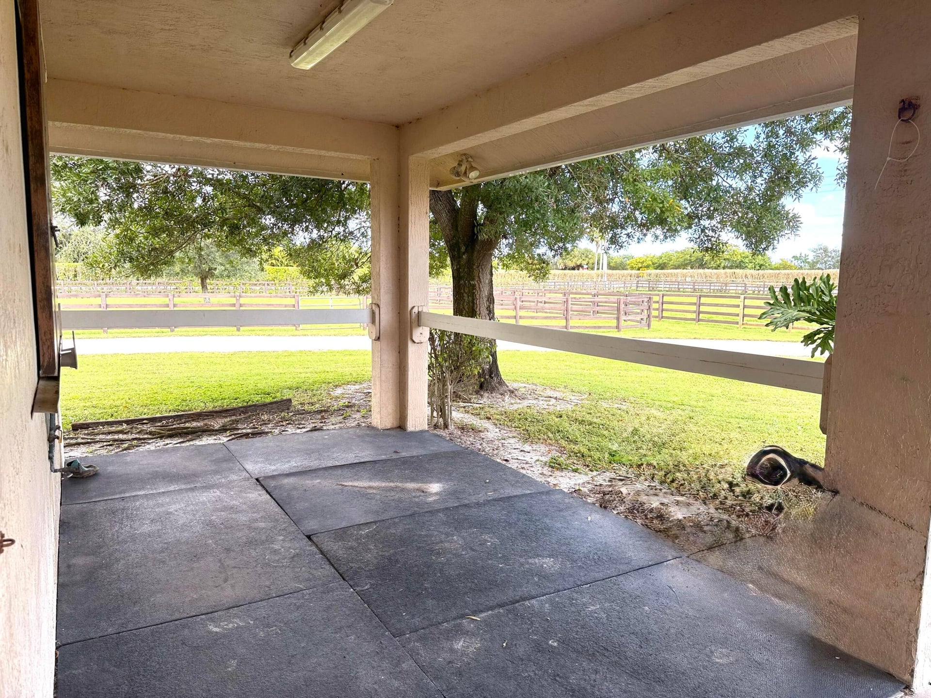 Residence photo 6