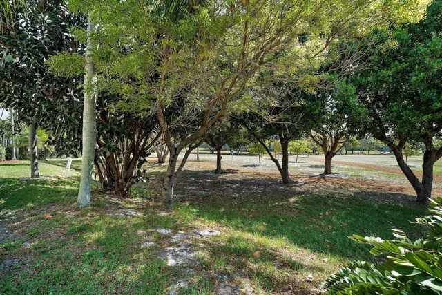 Unit 60 photo 38