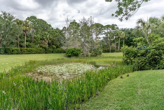  Residence photo 51