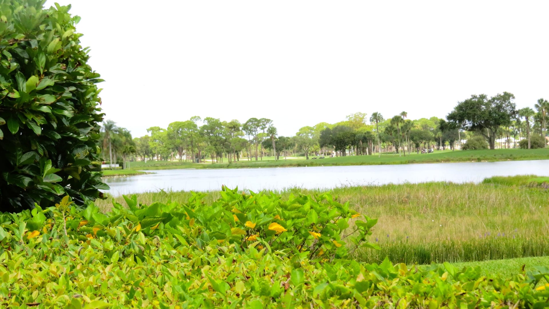 PGA National Palm Beach Gardens Residence photo 36