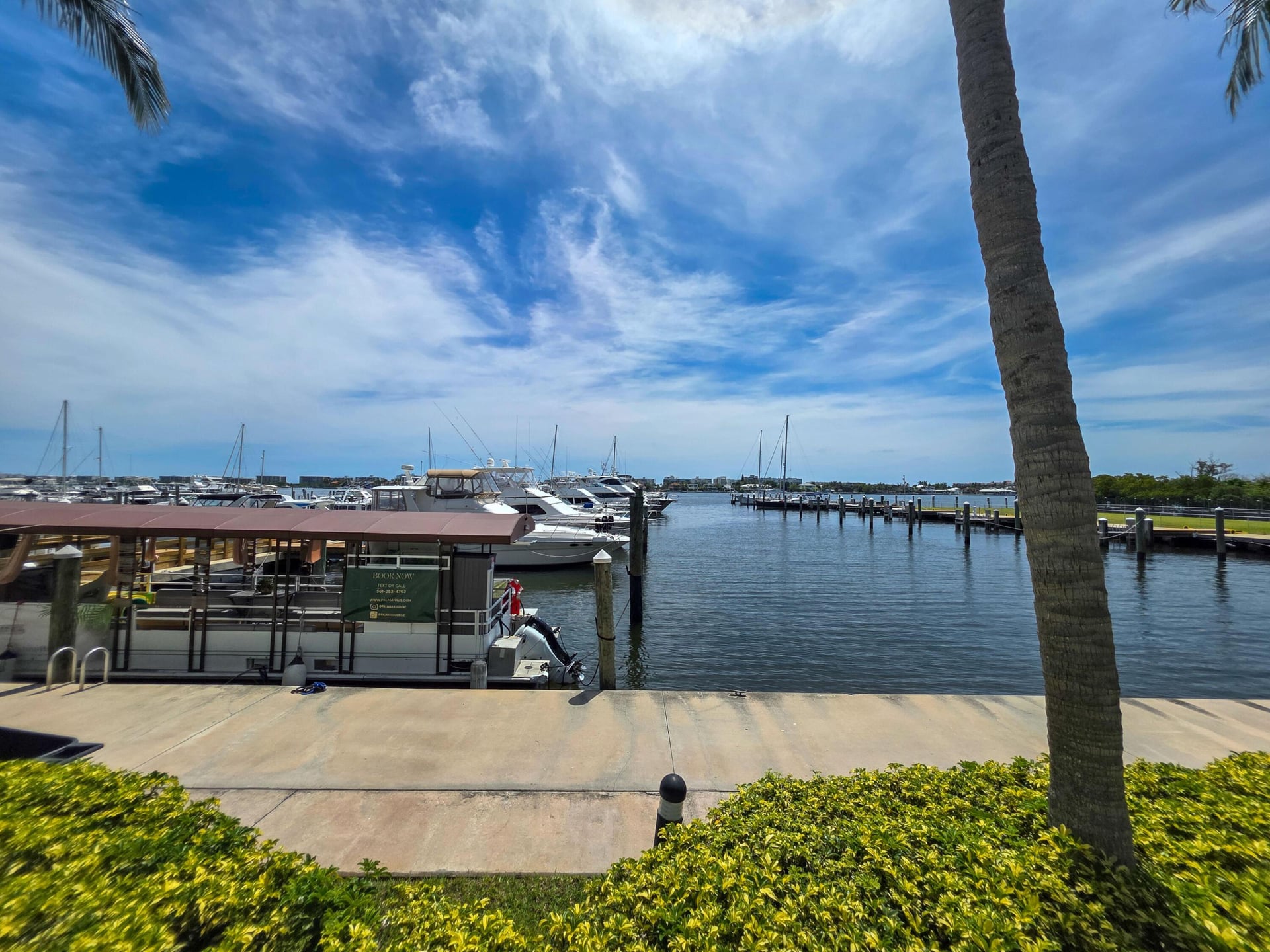 Windward Cove Lantana Unit 323 photo 38