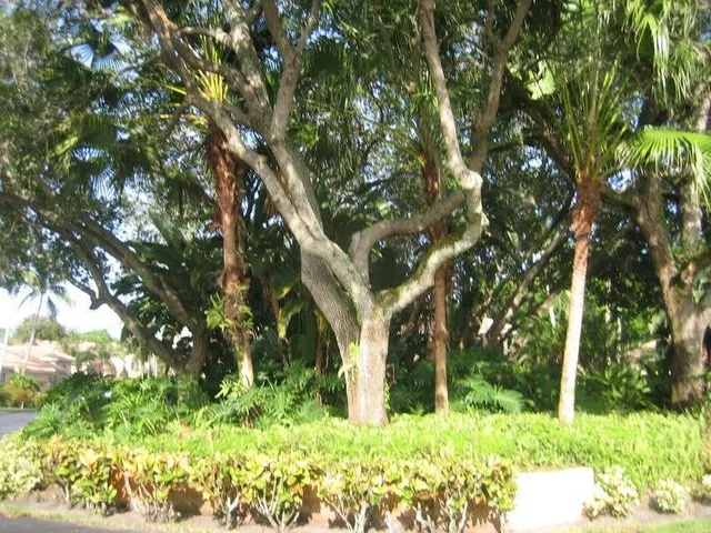 Unit 1401 photo 16