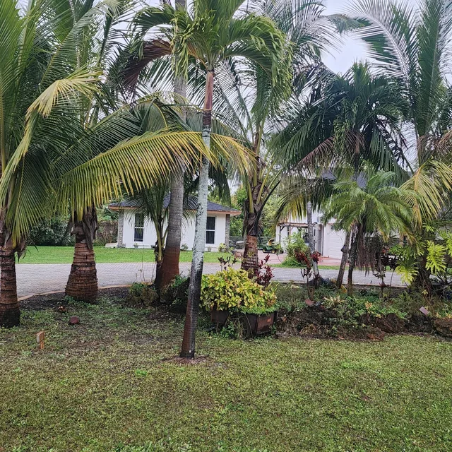 Residence photo 5