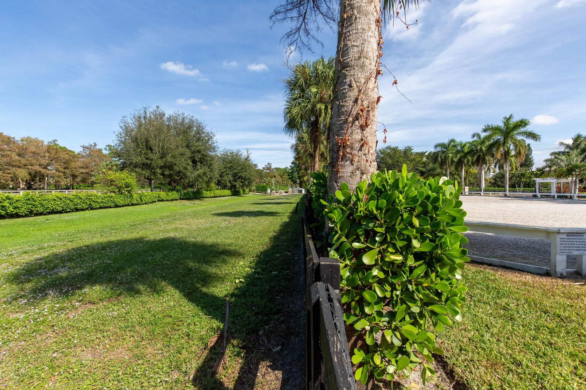Paddock Park Residence photo 33