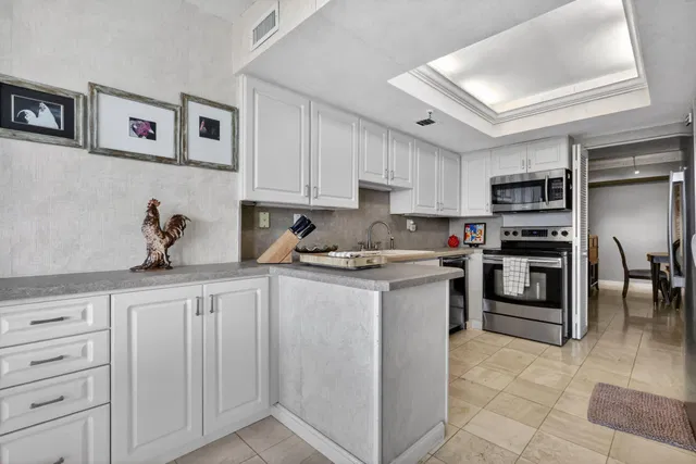 Consulate Place Unit 1705 photo 18