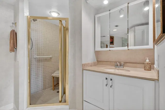 Consulate Place Unit 1705 photo 28