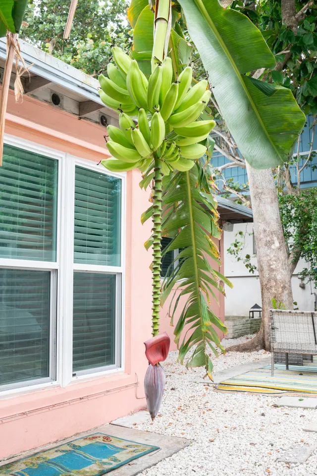Residence photo 26