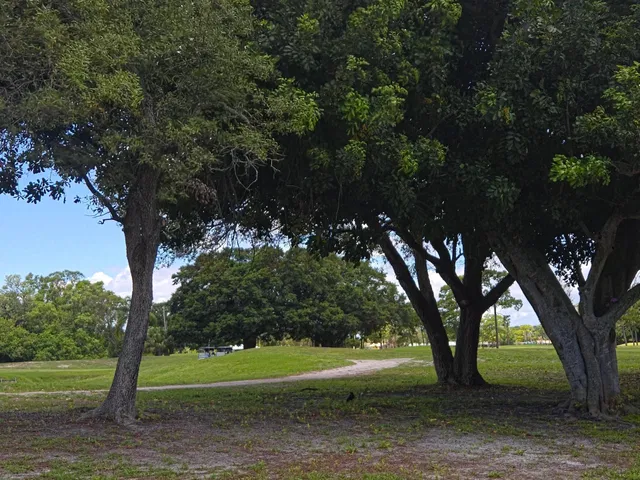 Unit 17-1708 photo 14