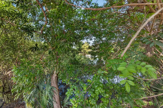 West Palm Beach Residence photo 58