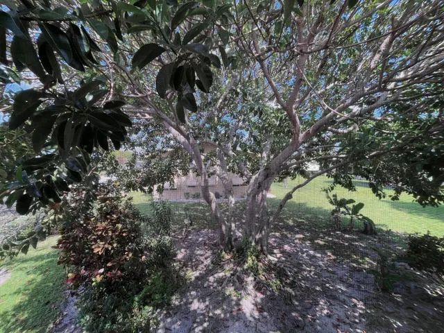 Residence photo 12