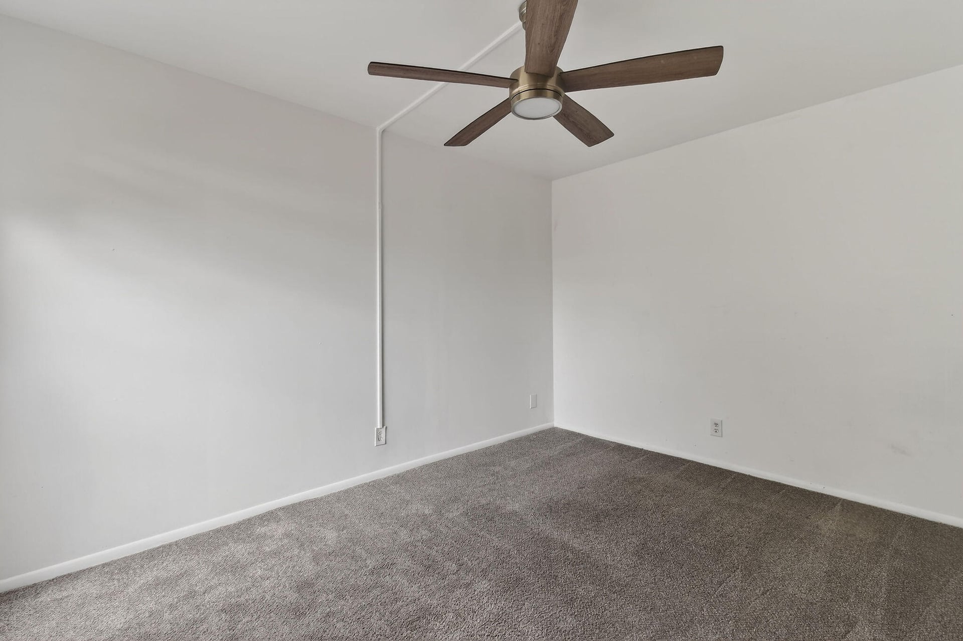  Unit B photo 56